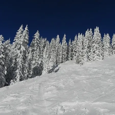 Lejlighed Sonnentanz Piesendorf