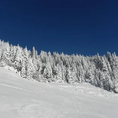 Sonnentanz Lejlighed Piesendorf