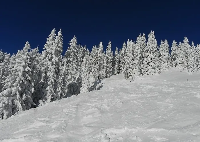 Lejlighed Sonnentanz Piesendorf