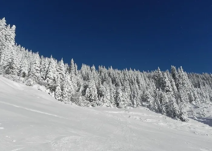 Sonnentanz Lejlighed Piesendorf